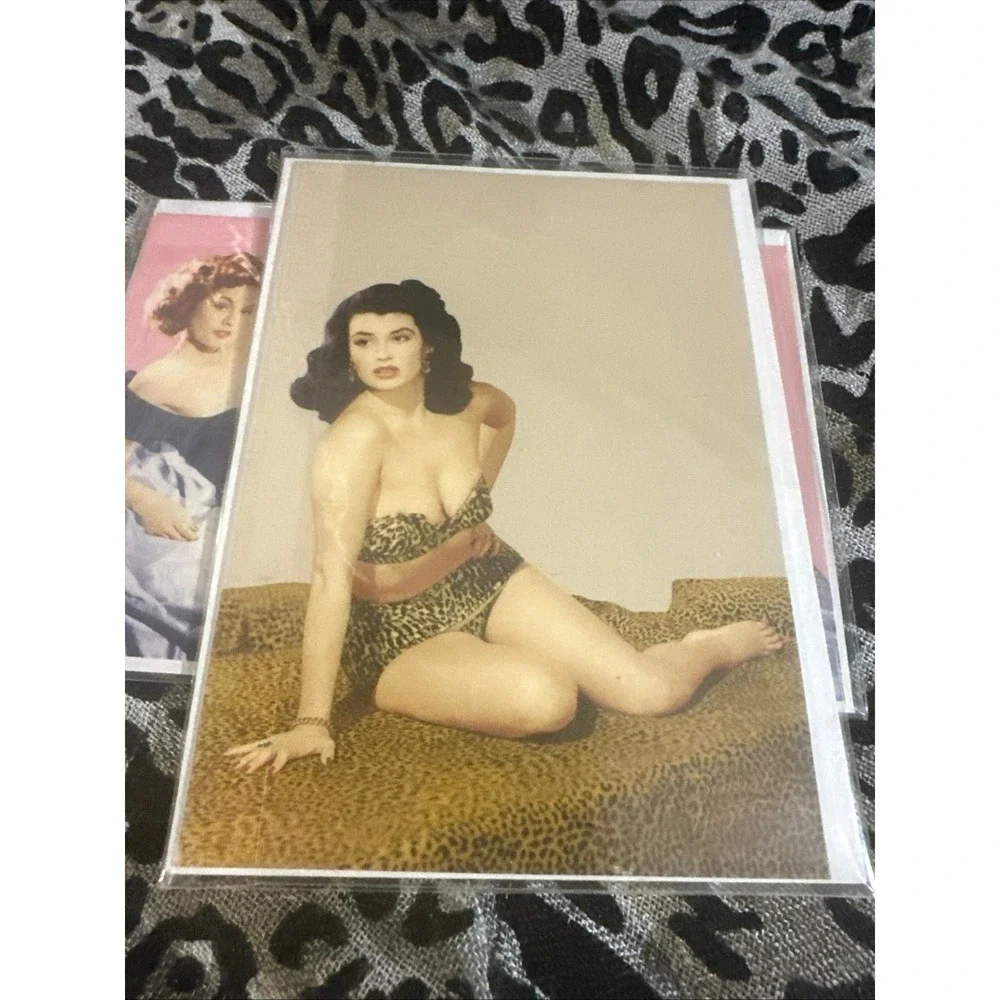 Pinup Girl Greeting Cards Set of 9 NEW Sealed with Envelopes 4 Designs